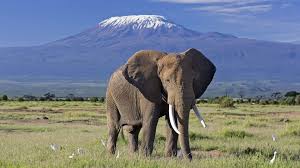 Suswa SGR Leisure Trip